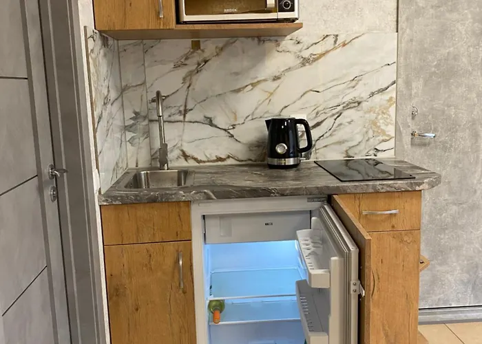 Masazinis Baseinas Senamiestyje Apartment *